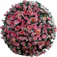 Coroa de Flores Tons Rosa 2 (Tam: 1,60)