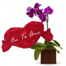Orquídea Lilás+Coração Grande "Eu Te Amo" 64x32